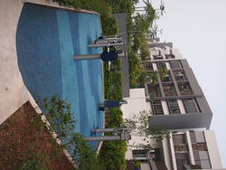 Meadows @ Peirce (D26), Condominium #148294172